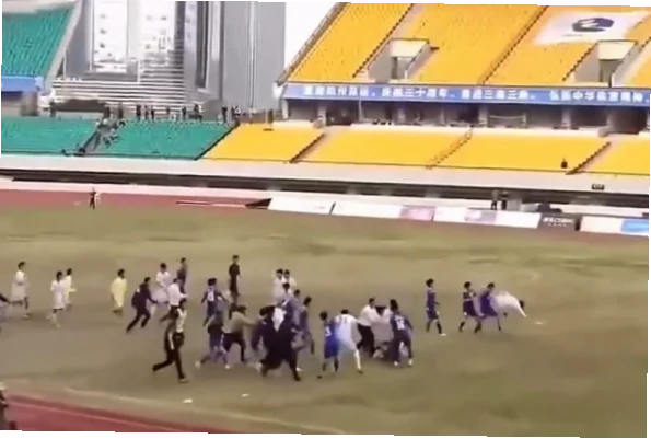 场上斗殴自动禁赛，如何既惩罚又保护球员权益？